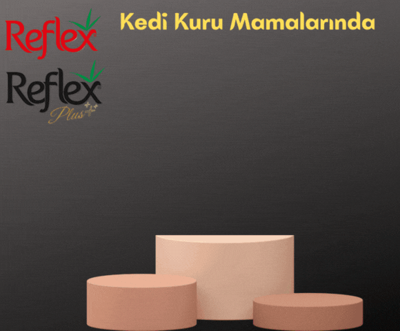Reflex & Reflex Plus Kedi Kuru Mamalarında % 15 İndirim