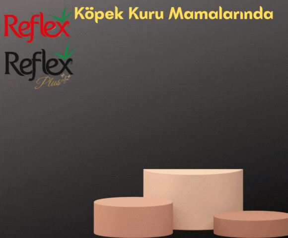 Reflex & Reflex Plus Köpek Kuru Mamalarında % 15 İndirim