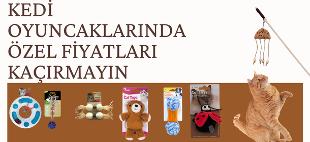 Kedi Oyuncakları