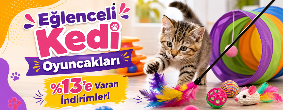 Kedi Oyuncakları