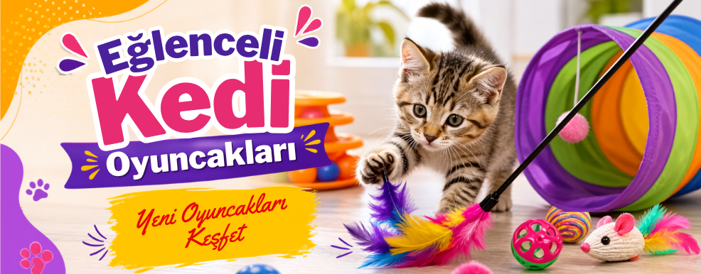 Kedi Oyuncakları