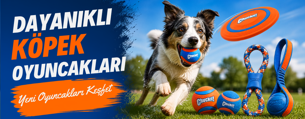 Köpek Oyuncakları