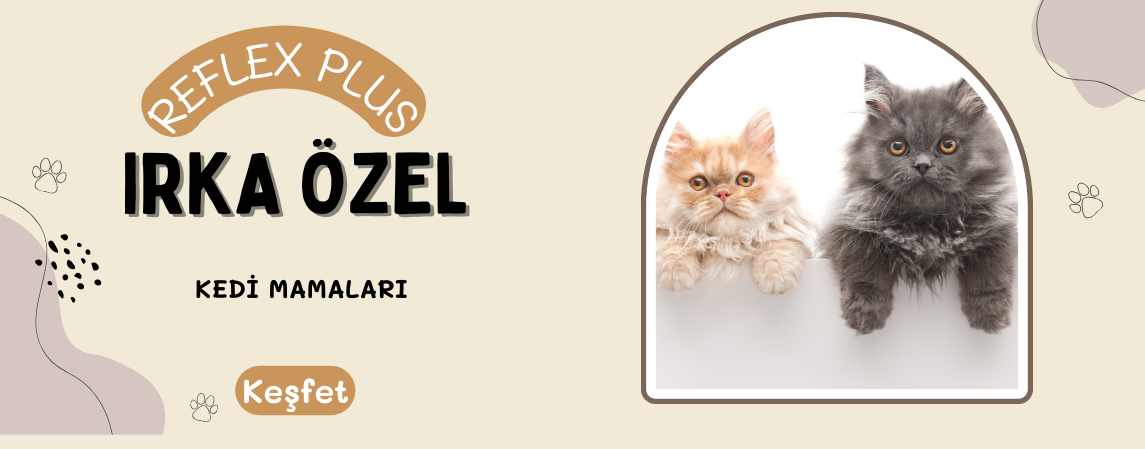 Reflex Plus Özel Irk Kedi Mamaları
