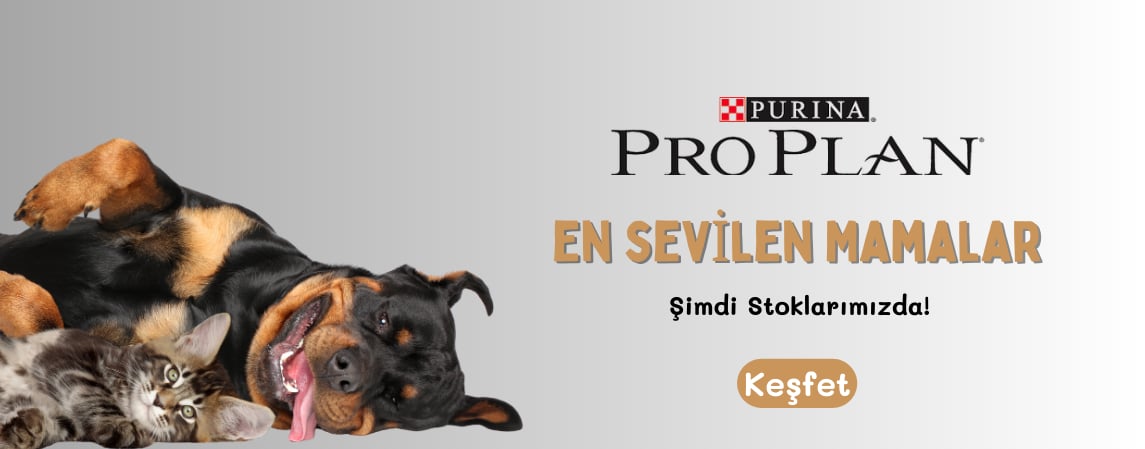 Pro Plan Kedi ve Köpek Mamaları