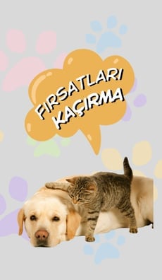 ÖZel İndirimleri Kaçırma