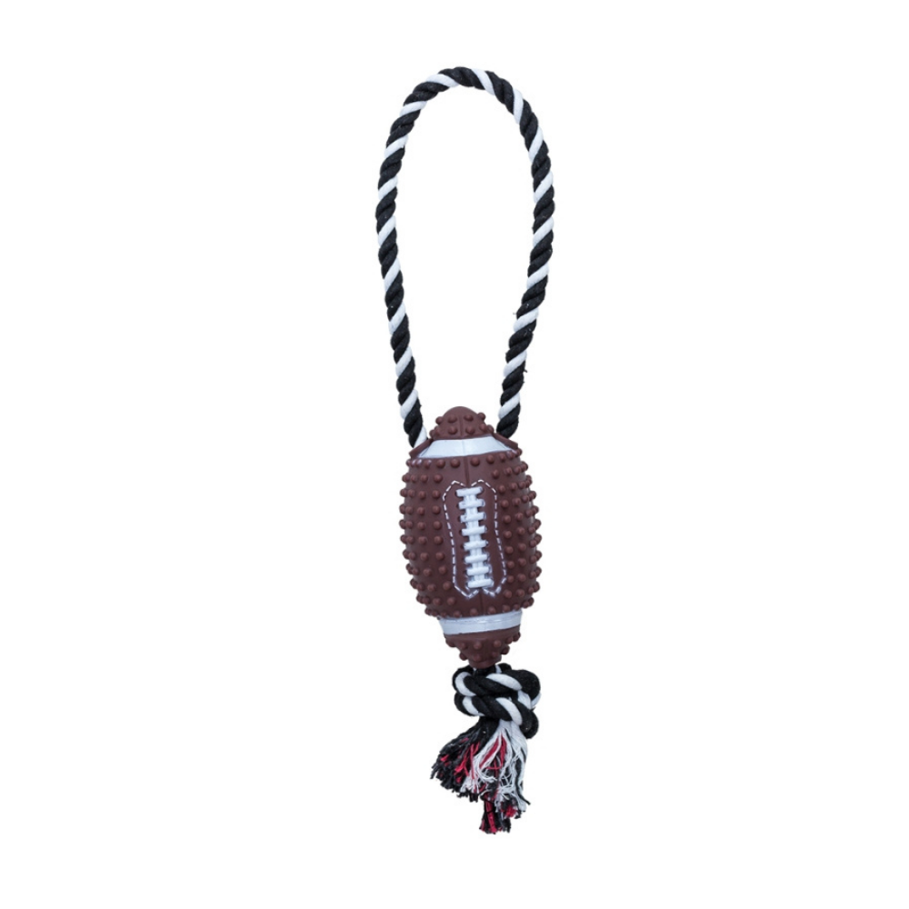 Eastland Plastik İpli Rugby Topu Köpek Oyuncağı 15 Cm