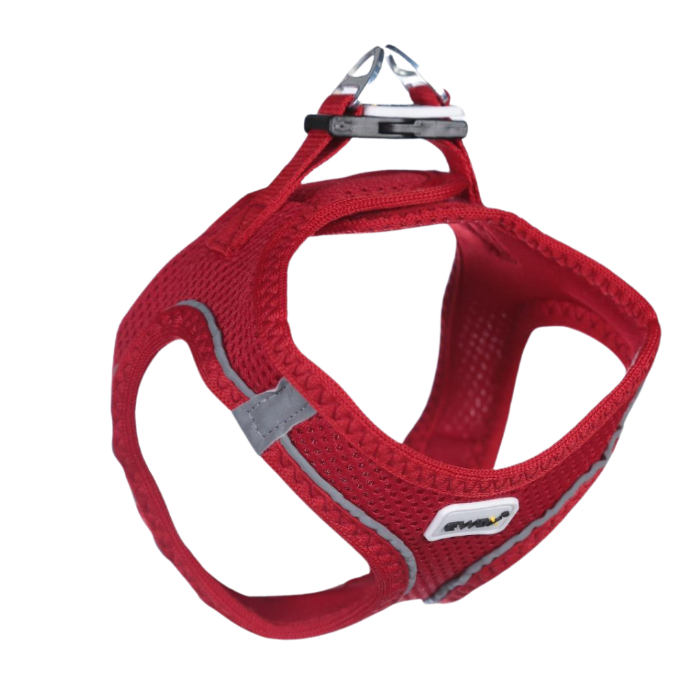 Ewox Air Mesh Kırmızı Göğüs Tasması S