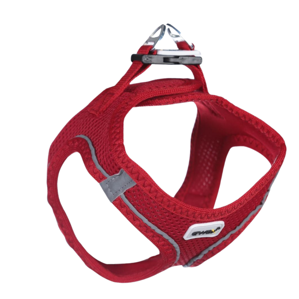Ewox Air Mesh Kırmızı Göğüs Tasması XS