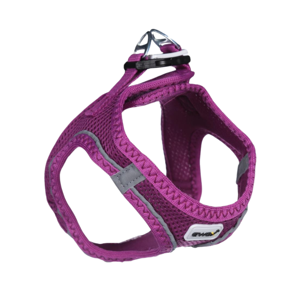 Ewox Air Mesh Mor Göğüs Tasması 2XS