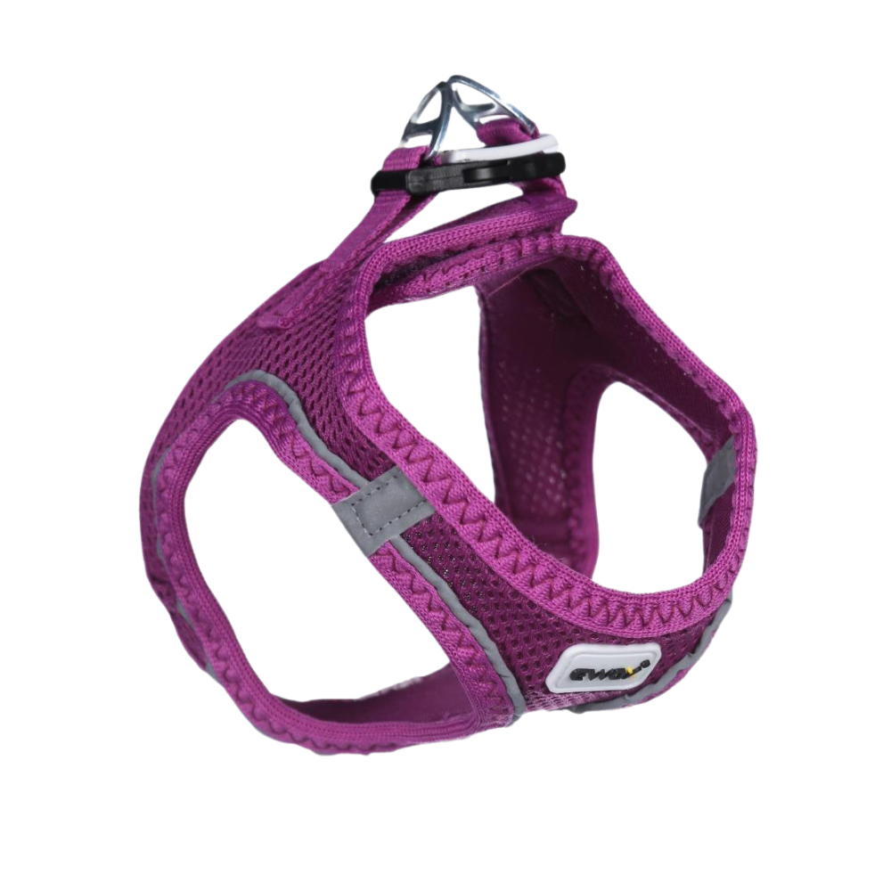 Ewox Air Mesh Mor Göğüs Tasması L