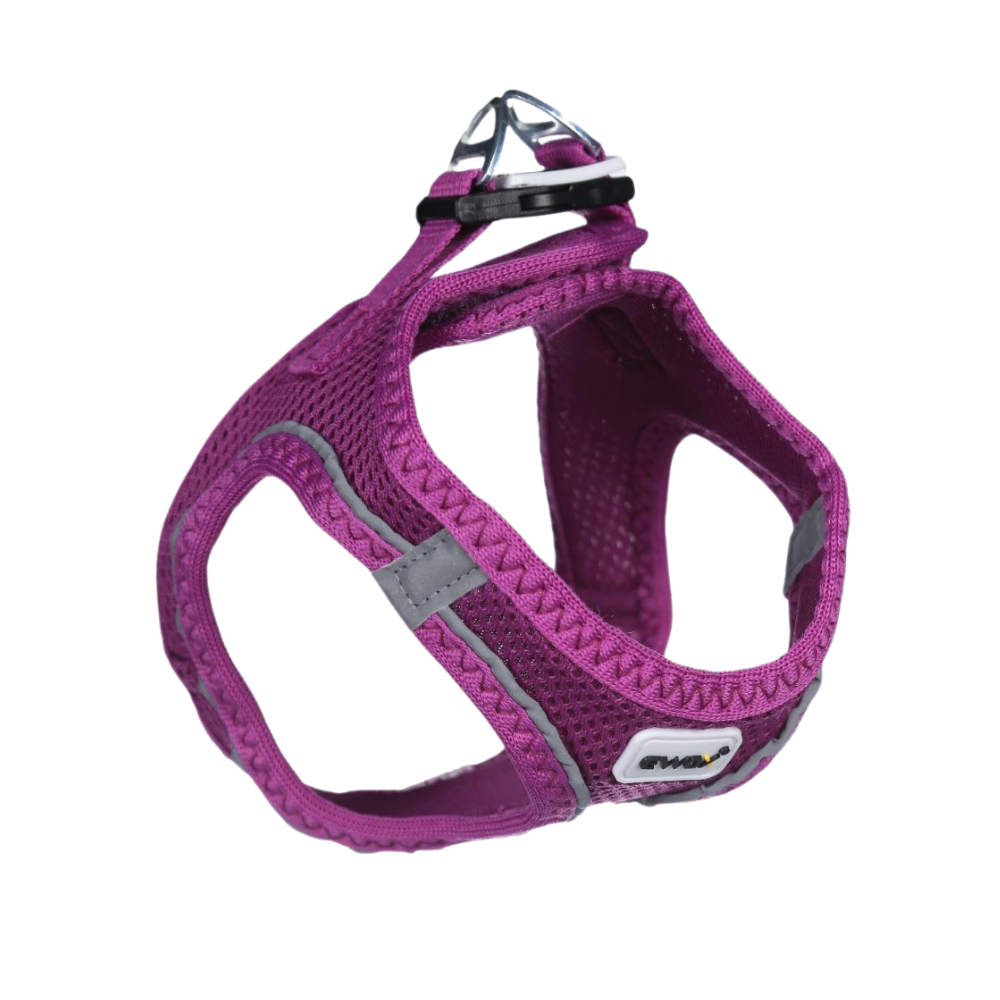 Ewox Air Mesh Mor Göğüs Tasması M