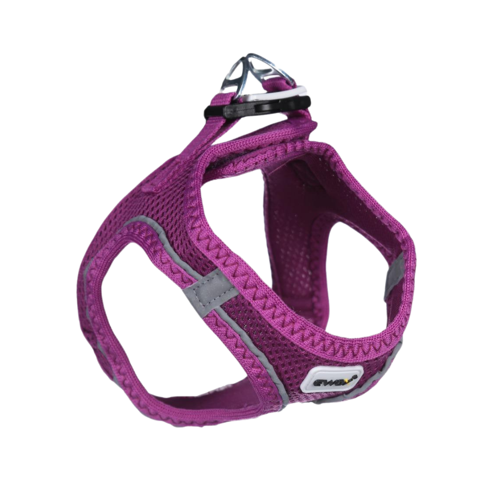 Ewox Air Mesh Mor Göğüs Tasması S