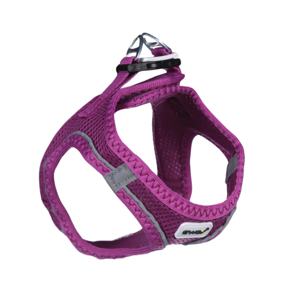 Ewox Air Mesh Mor Göğüs Tasması XL