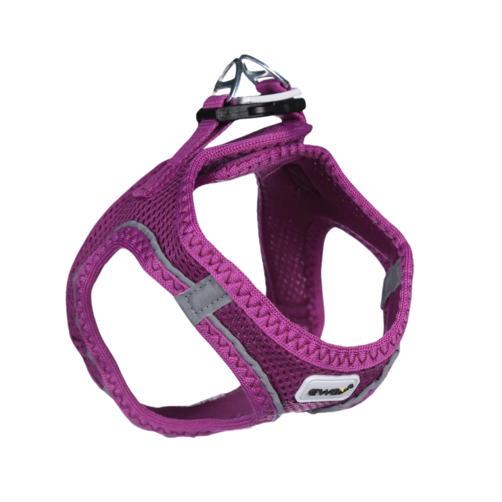 Ewox Air Mesh Mor Göğüs Tasması XS