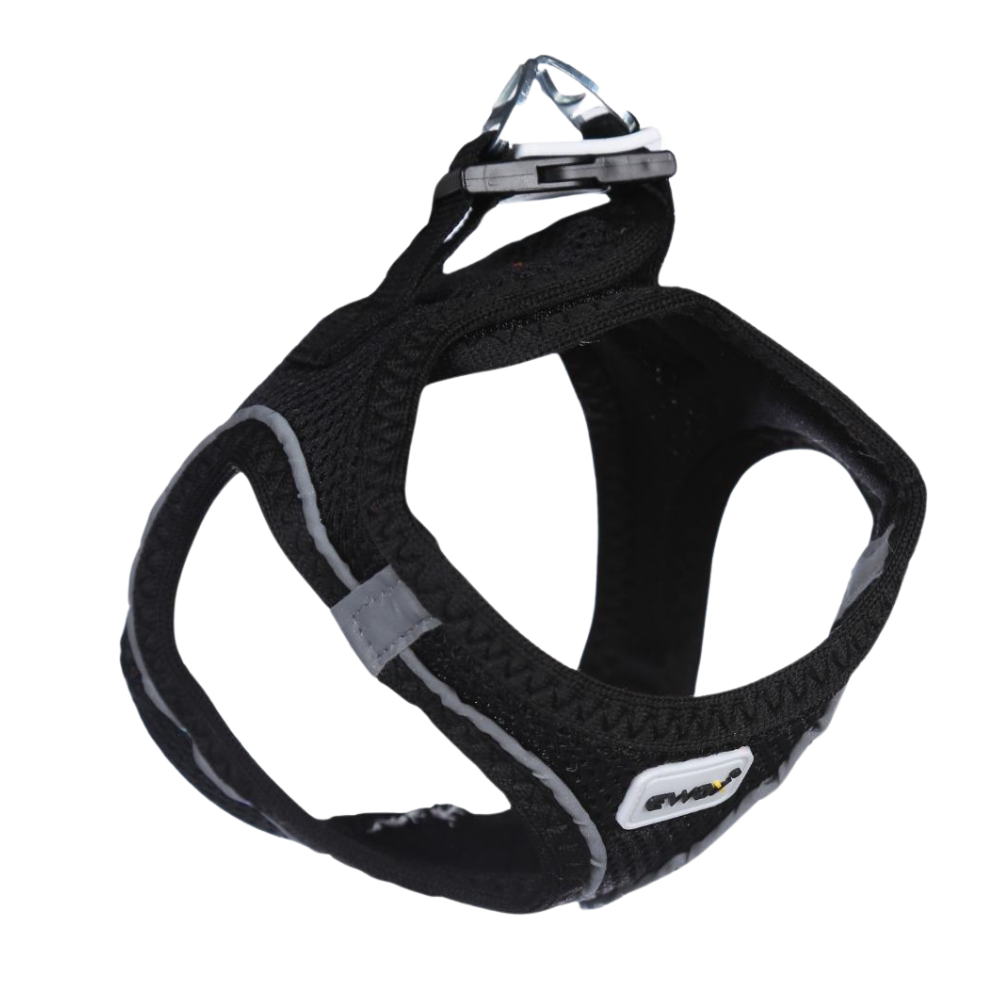 Ewox Air Mesh Siyah Göğüs Tasması S