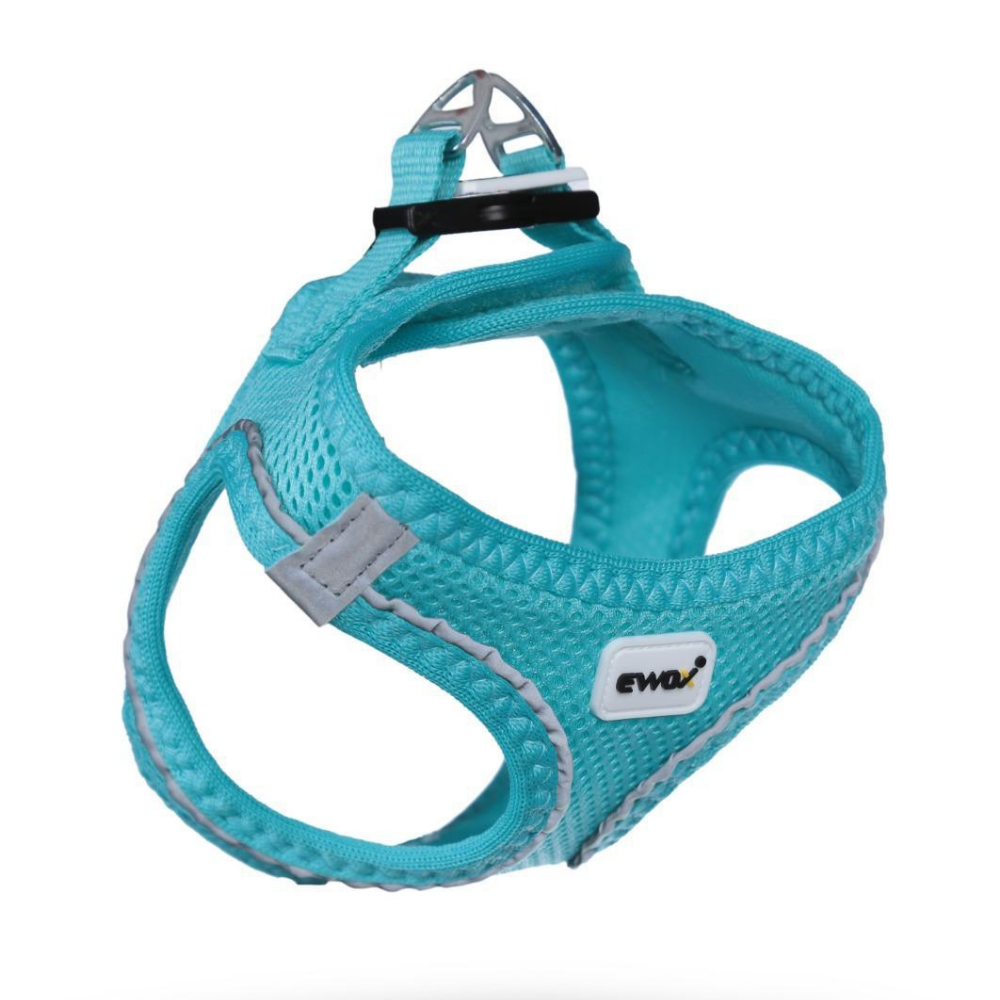 Ewox Air Mesh Turkuaz Göğüs Tasması 2XS