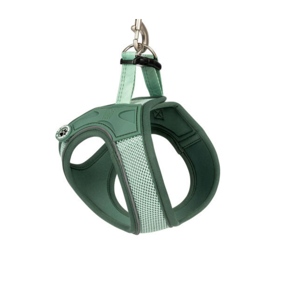 Matrix 2.0 Air Vest Köpek Göğüs Tasması - Jade Xlarge