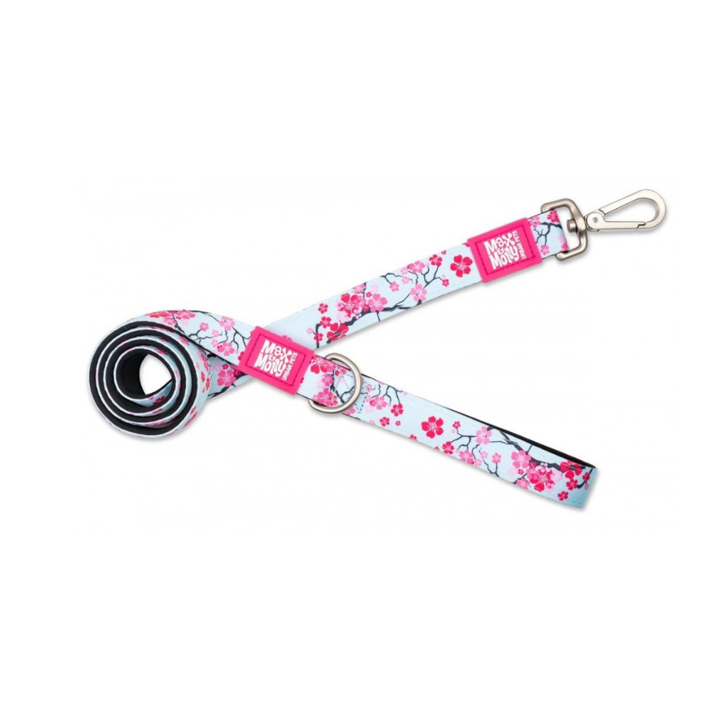 Max & Molly Cherry Bloom Köpek Gezdirme Kayışı Small