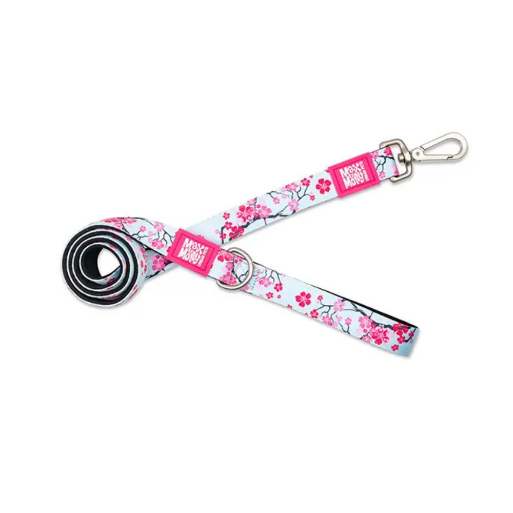Max & Molly Cherry Bloom Köpek Gezdirme Kayışı Large
