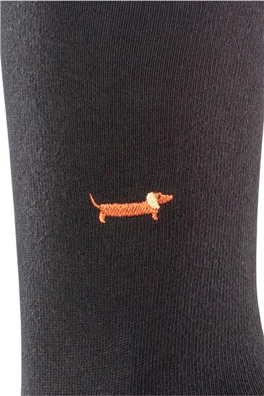 Burlington Erkek Çorap