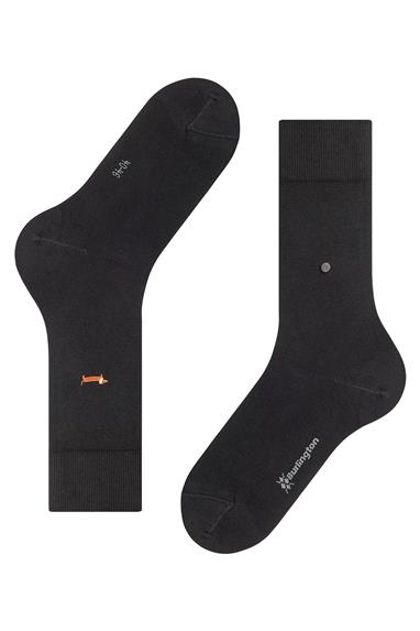 Burlington Erkek Çorap