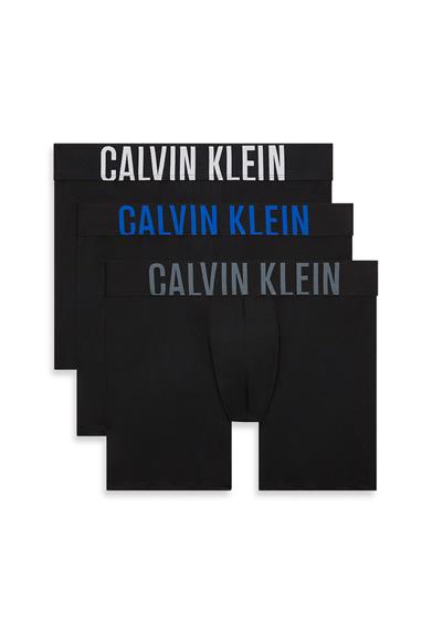 Calvin Klein Boxer Brief 3Pk Erkek 3lü Boxer