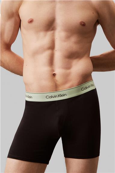 Calvin Klein Boxer Brief 3Pk Erkek 3lü Boxer