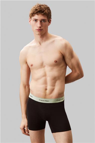 Calvin Klein Boxer Brief 3Pk Erkek 3lü Boxer