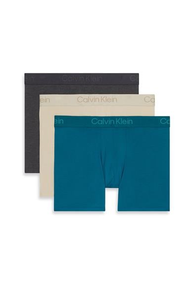 Calvin Klein Boxer Brief 3Pk Erkek 3lü Boxer