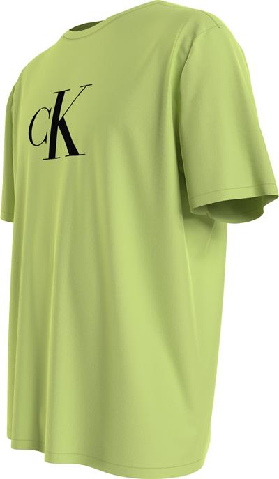 Calvin Klein Crew Neck Erkek Bisiklet Yaka T-Shirt