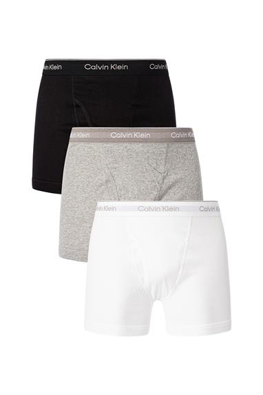 Calvin Klein Erkek 3lü Boxer