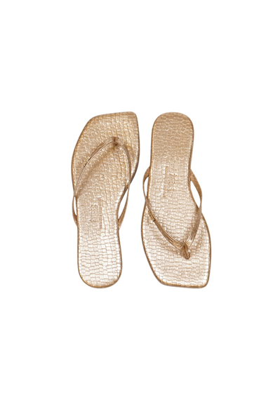 Tkees Kadın Crocodile Gold Metal Logo Kare Burun Terlik Çok Renkli