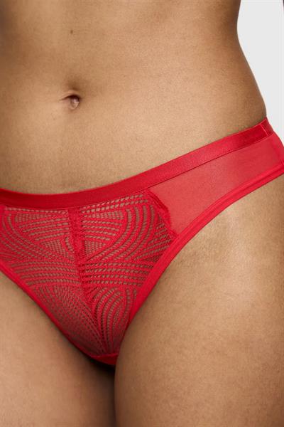 Triumph Delightful Spotlight Brazilian Külot