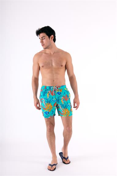 Zeybra Erkek Şort Mayo