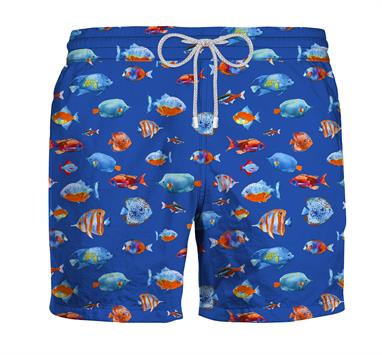 Zeybra Erkek Şort Mayo