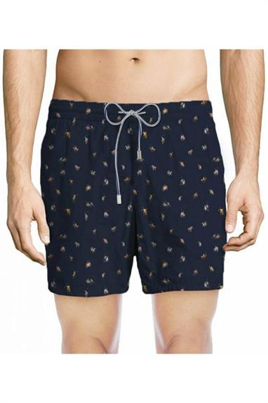 Zeybra Erkek Şort Mayo