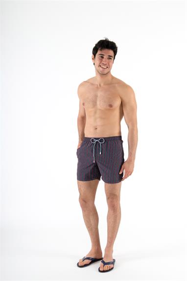 Zeybra Erkek Şort Mayo