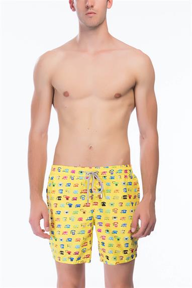 Zeybra Erkek Şort Mayo