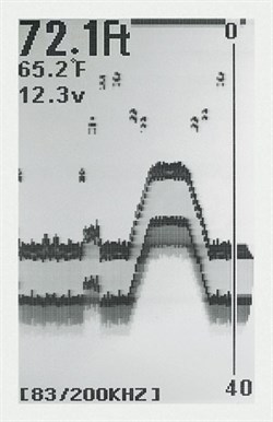 Condor 242 DC Balık Bulucu