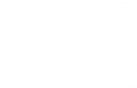 Bravo SP 43 Boston valf