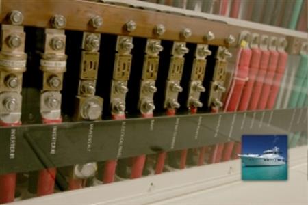 Blue Sea Systems ANL tip sigorta 80A