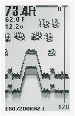 Condor 245 DF Balık Bulucu