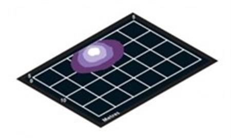 Hella Marine Kombine Pruva Feneri/Güverte Aydınlatma 12V-20W Siyah