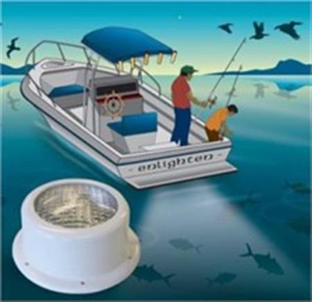 Kıç platform aydınlatma lambası 24V