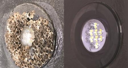 Lightspeed Sualtı Aydınlatma Koruyucu Kit 15ml