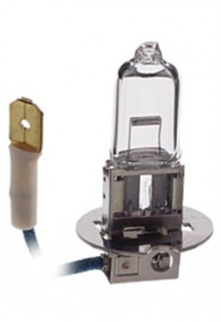 Mts H3 pk22s Halojen Ampul 12V/55W