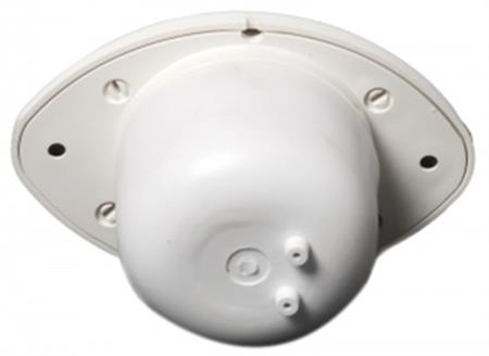 Osculati gömme korna