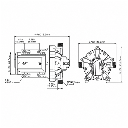 Seaflo Hidrofor Pompası 12V - 18.9 L/Dk - 60 PSI