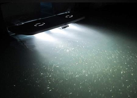 Su Altı Lambası 6 Ledli Yuvarlak 12-30V Beyaz