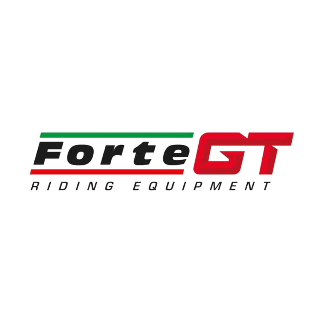 FORTE GT